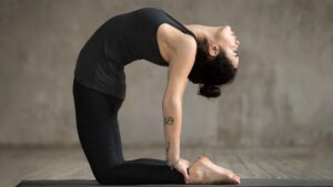 Camel Pose