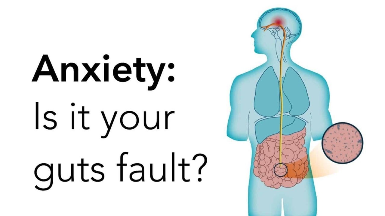 gut Hormones & anxiety