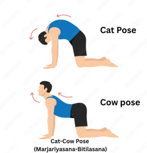 cat cow pose at advik homoeopathy clinic