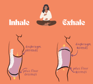 Diaphragmatic breathing at advik homoeopathy clinicv