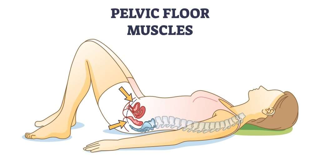 Pelvic muscles strength at advik homoeopathy clinic